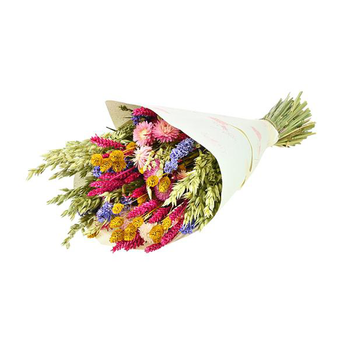 Visuel 1 du produit Bouquet de fleurs séchées Naturalys Dandy mix couleur - Ø 25/30 x H 50 cm
