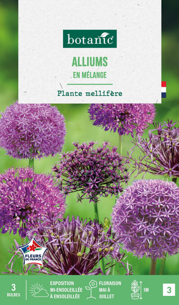 Visuel 1 du produit Allium en mélange - 3 bulbes