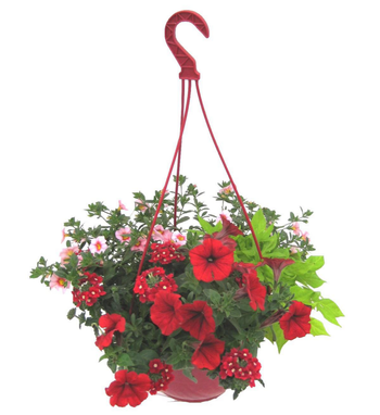Visuel 1 du produit Suspension plantes fleuries mélange de saison coloris multicolore - Ø 27 cm