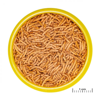 Visuel 1 du produit Aliment pour betta à base d'insectes JBL ProNovo Stick - 10g/20ml