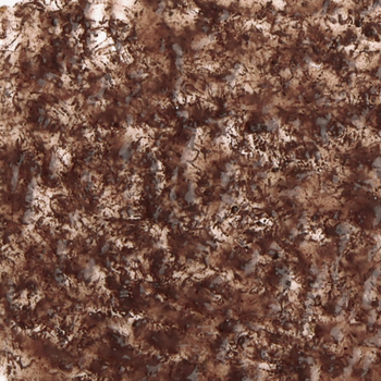 Visuel 1 du produit FreshDelica Blood-Worms Natural Snack - TETRA - 16x3g (48g total)