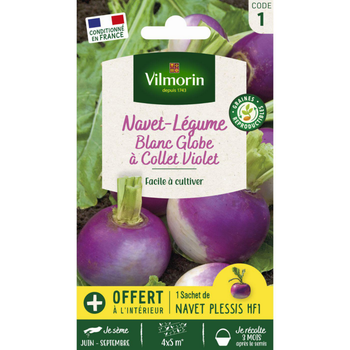 Visuel 1 du produit Sachet de graines de navet-légume blanc globe à collet violet