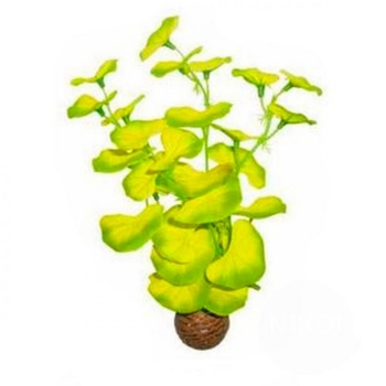 Visuel 1 du produit Plante artificielle d'aquarium lysimachia de qualité - SUPERFISH Easy Plants