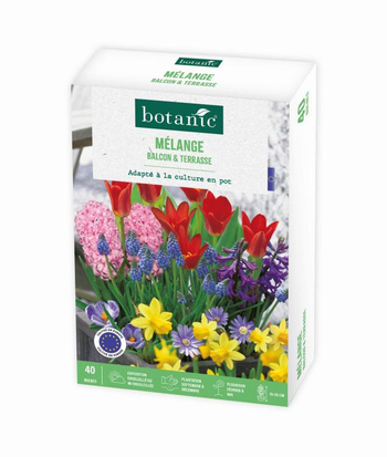 Visuel 1 du produit Mélange balcon et terrasse botanic® - 40 bulbes