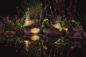 Visuel 1 du produit Kit d’éclairage Pontec PondoSolar LED 3 spots