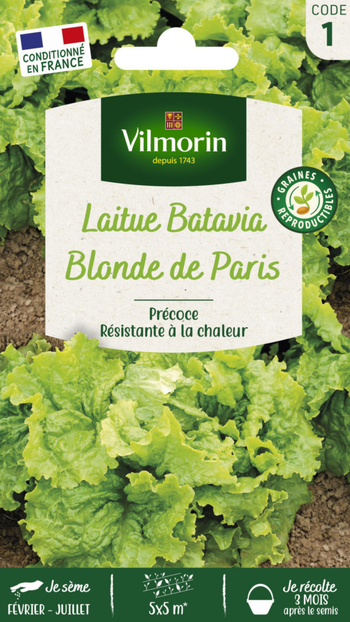 Visuel 1 du produit Laitue Batavia Blonde de Paris Vilmorin - graines à semer