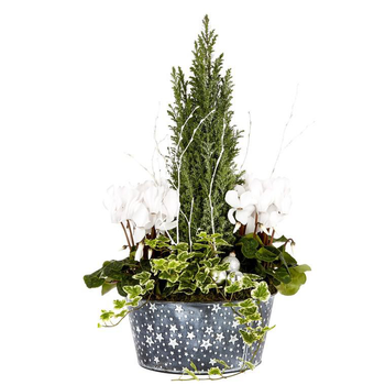 Visuel 1 du produit Composition enneigée en coupe zinc étoile - La composition