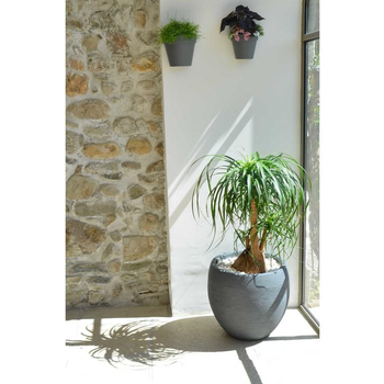 Visuel 1 du produit Pot egg Graphit blanc Anthracite D50 x H45