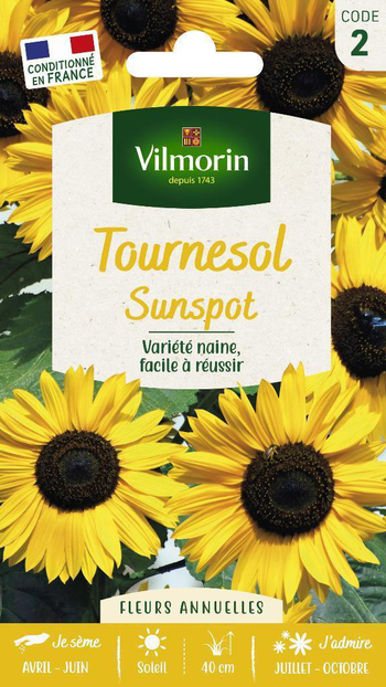 Visuel 1 du produit Graines de Tournesol Sunspot Vilmorin - graines à semer