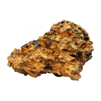 Visuel 1 du produit Dragon stone naturelle taille S (0.8-1.2kg) - AQUA DECO - à l'unité