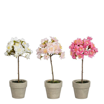 Visuel 1 du produit Cerisier artificiel en pot - 9 x 10 x 23 cm