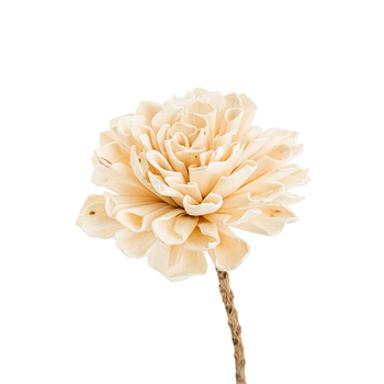 Visuel 1 du produit Fleur en bois de Sola et coco forme Dalhia - Ø 8 x H 50 cm