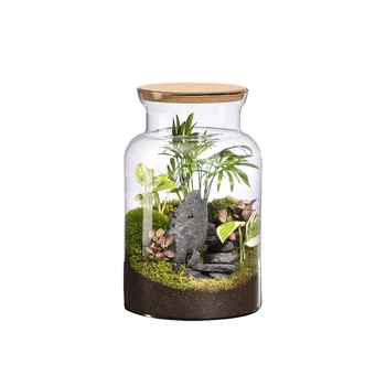 Visuel 1 du produit Terrarium autonome Jungle Landscape botanic® - taille M