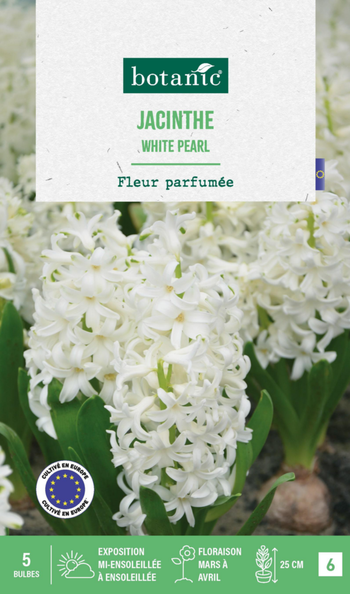 Visuel 1 du produit Jacinthe white pearl botanic® - 5 bulbes