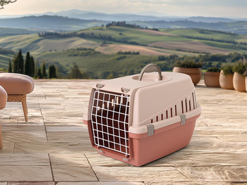 Visuel 1 du produit Cage de transport pour chat et petit chien coloris champagne Savic Trotter 1 - 49 x 33 x 30 cm