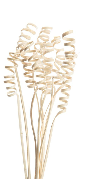 Visuel 1 du produit Lot de 10 cannes naturelles torsadées artificielles coloris beige - 50 à 65 cm