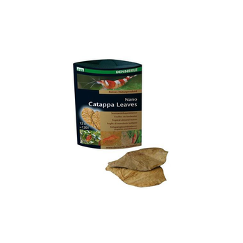 Visuel 1 du produit Nano feuilles de Catappa