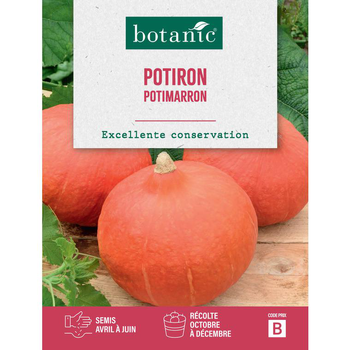 Visuel 1 du produit Graines de potiron potimarron botanic® - graines à semer