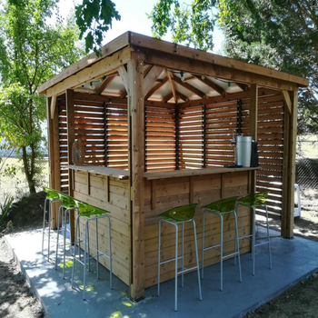 Visuel 1 du produit Pool house Blueterm Foresta bois coloris beige en bois traité haute température - 3,79 x 3,79 m