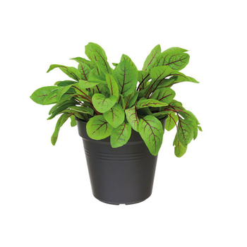 Visuel 1 du produit Pot 19cm Green Basics Elho noir