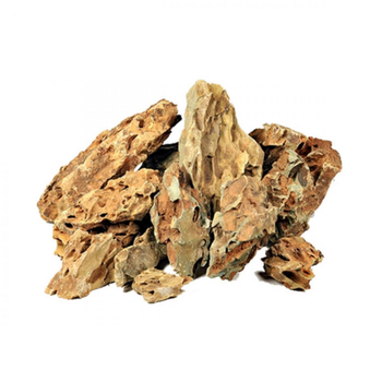 Visuel 1 du produit Dragon stone naturelle taille S (0.8-1.2kg) - AQUA DECO - à l'unité