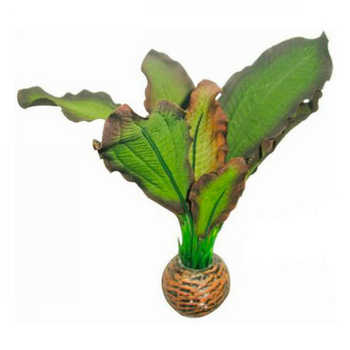 Visuel 1 du produit Plante artificielle d'avant-plan pour aquarium, facile à utiliser - SUPERFISH Easy Plants Foreground 3