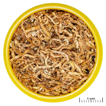 Visuel 1 du produit Alimentation pour poissons ProNovo Fil M, riche en vitamines - JBL - 25g / 250mL