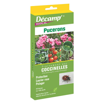 Visuel 1 du produit Traitement aux coccinelles anti pucerons Décamp
