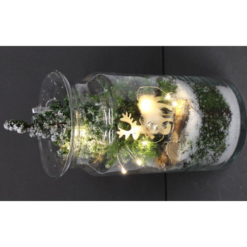 Visuel 1 du produit Terrarium de noël lumineux décor cerf - La composition