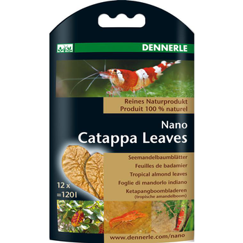 Visuel 1 du produit Nano feuilles de Catappa