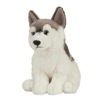 Visuel 1 du produit Husky peluche 20 cm pour tout âge