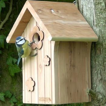 Visuel 1 du produit Nichoir le poupon pour mésanges bleues en bois 19 x 16 x 26 cm