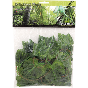 Visuel 1 du produit Plantes artificielles pour terrarium en soie coloris vert Reptile Planet Amazon Jungle Vine - 2,6 M