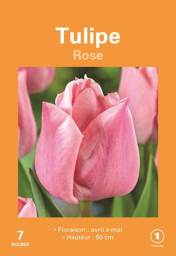 Visuel 1 du produit Bulbes de fleurs Tulipe rose botanic® - 7 bulbes