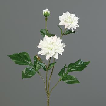 Visuel 1 du produit Dahlia artificiel branche 2 fleurs et 1 bouton coloris crème - 70 cm