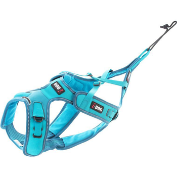 Visuel 1 du produit Harnais pour chien coloris bleu canicross réglable I-Dog X-Back Phoenix ALM - Taille L