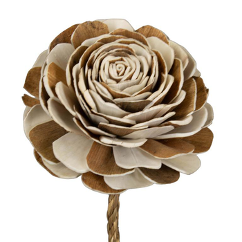 Visuel 1 du produit Fleur de sola bicolore beige et rose - Ø 12 x H 65 cm