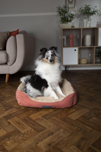 Visuel 1 du produit Corbeille pour chien coloris terracotta Scruffs Cosy – Taille XL