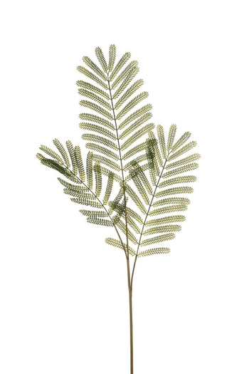 Visuel 1 du produit Branche de feuille de mimosa artificielle 3 rameaux - 35 x 35 x 90 cm