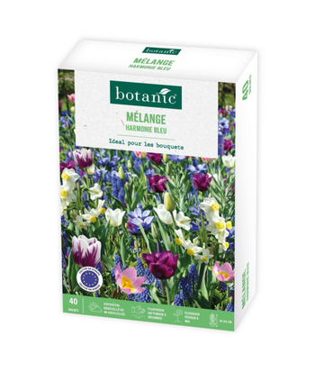 Visuel 1 du produit Mélange harmonie coloris bleu botanic® - 40 bulbes