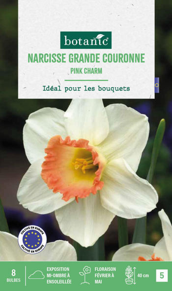 Visuel 1 du produit Narcisse pink charm botanic® - 8 bulbes