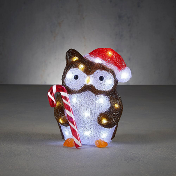 Visuel 1 du produit Hibou lumineux 30 LED blanc sur piles - 23 cm