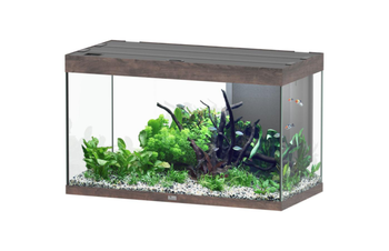 Visuel 1 du produit Aquarium coloris chêne foncé Aquatlantis Sublime Ultra LED 2.0 245 L - 100 x 50 x 60 cm