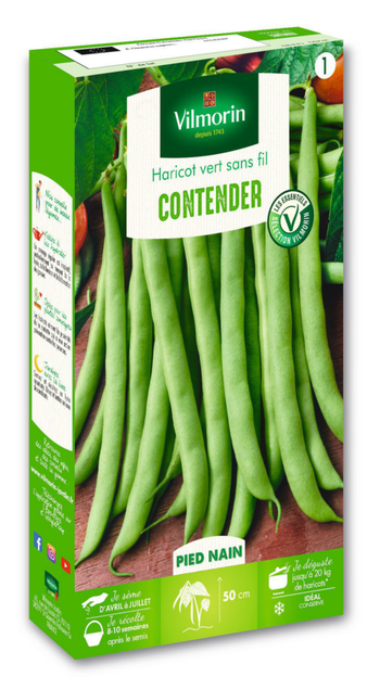 Visuel 1 du produit Haricot Vert Contender Vilmorin - graines à semer