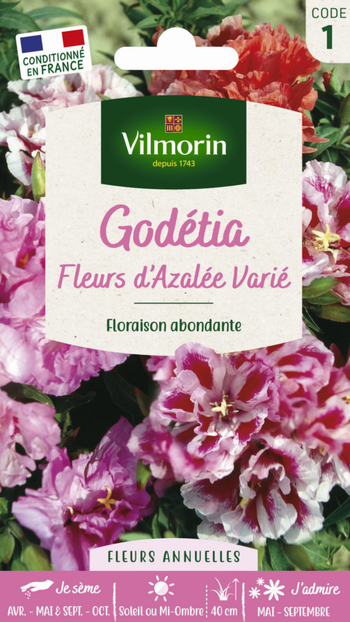 Visuel 1 du produit Graines de Godetia Fleurs d’Azalée varié Vilmorin - graines à semer