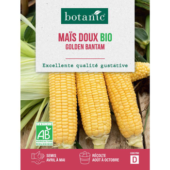 Visuel 1 du produit Graines de maïs doux golden bantam bio botanic® - graines à semer