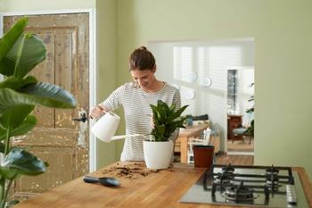 Visuel 1 du produit Self-watering insert d’arrosage automatique living noir Elho - 21 cm