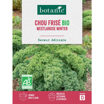 Visuel 1 du produit Graines de chou kale westlandse winter bio botanic® - graines à semer