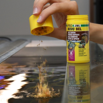 Visuel 1 du produit Nourriture en flocons ProNovo taille M, naturellement colorée, JBL - 100ml/18g