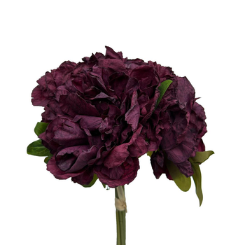 Visuel 1 du produit Bouquet de pivoine fuchsia en papier aspect fleur séchée Naturalys - 30 cm